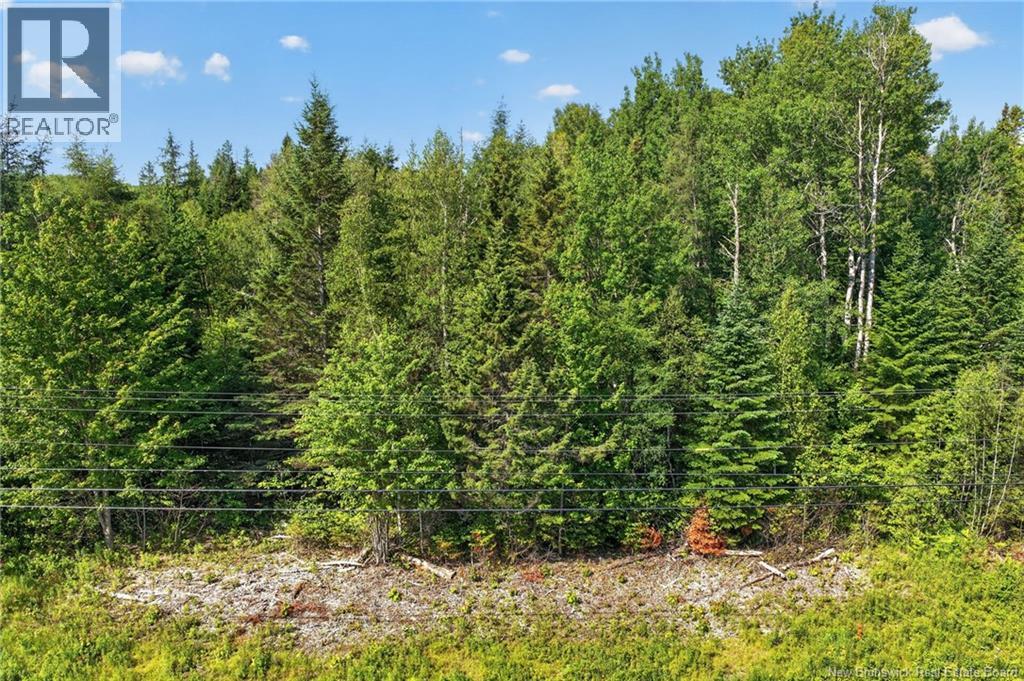 Lot 24-2 Route 126, Indian Mountain, New Brunswick E1G 2Z2 - Photo 10 - NB143102