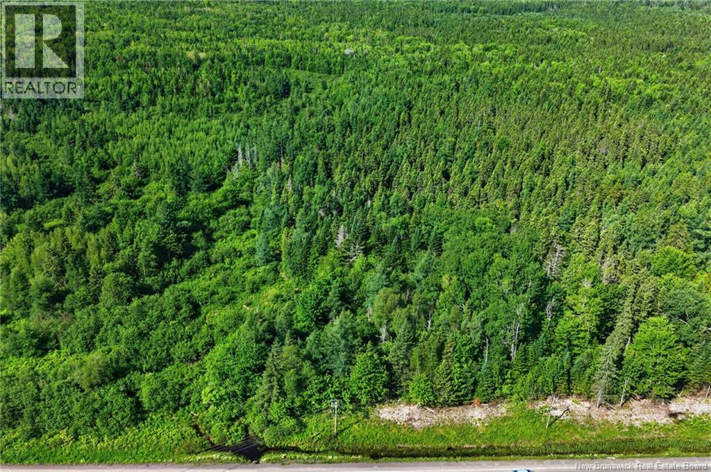 Lot 24-2 Route 126, Indian Mountain, New Brunswick E1G 2Z2 - Photo 3 - NB143102