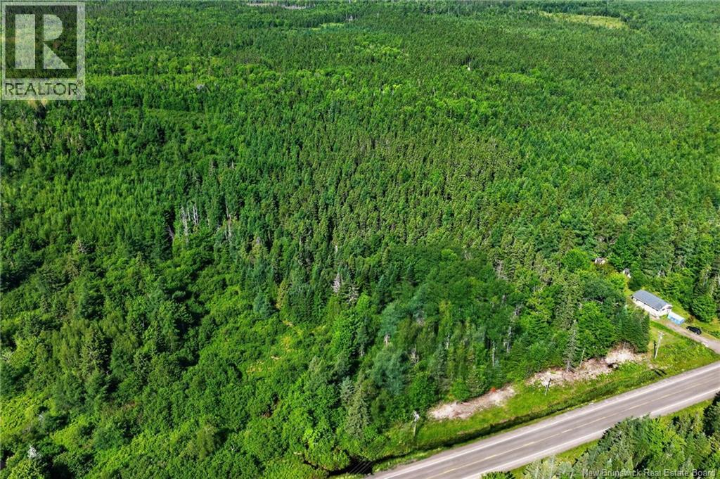 Lot 24-2 Route 126, Indian Mountain, New Brunswick E1G 2Z2 - Photo 4 - NB143102