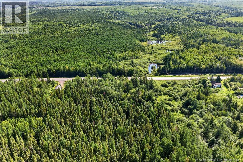 Lot 24-2 Route 126, Indian Mountain, New Brunswick E1G 2Z2 - Photo 7 - NB143102