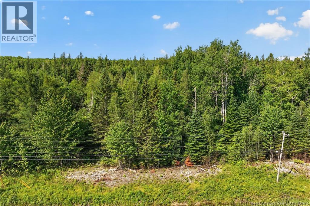 Lot 24-2 Route 126, Indian Mountain, New Brunswick E1G 2Z2 - Photo 9 - NB143102