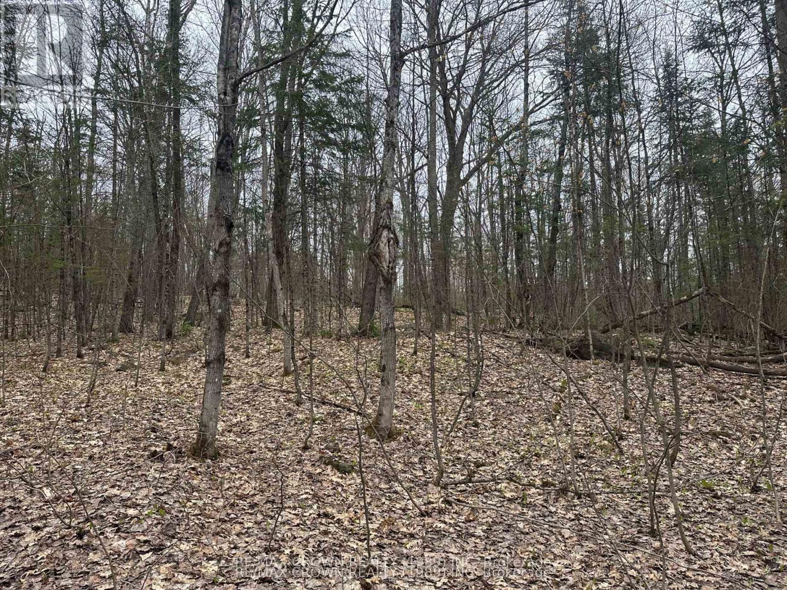 Part Lot 14 Concession 7, Mcmurrich/monteith, Ontario  P0A 1Y0 - Photo 5 - X13533944