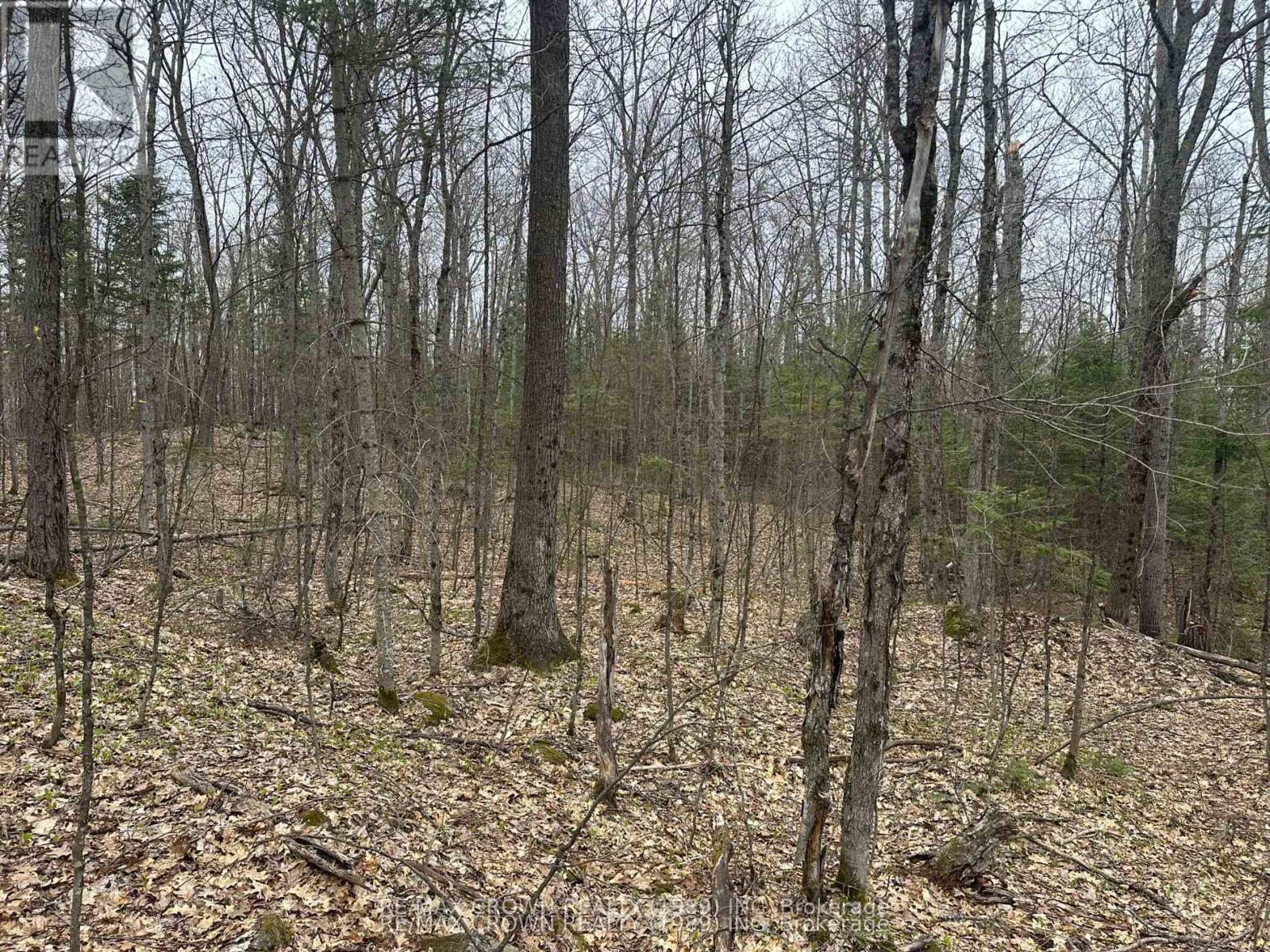 Part Lot 14 Concession 7, Mcmurrich/monteith, Ontario  P0A 1Y0 - Photo 6 - X13533944