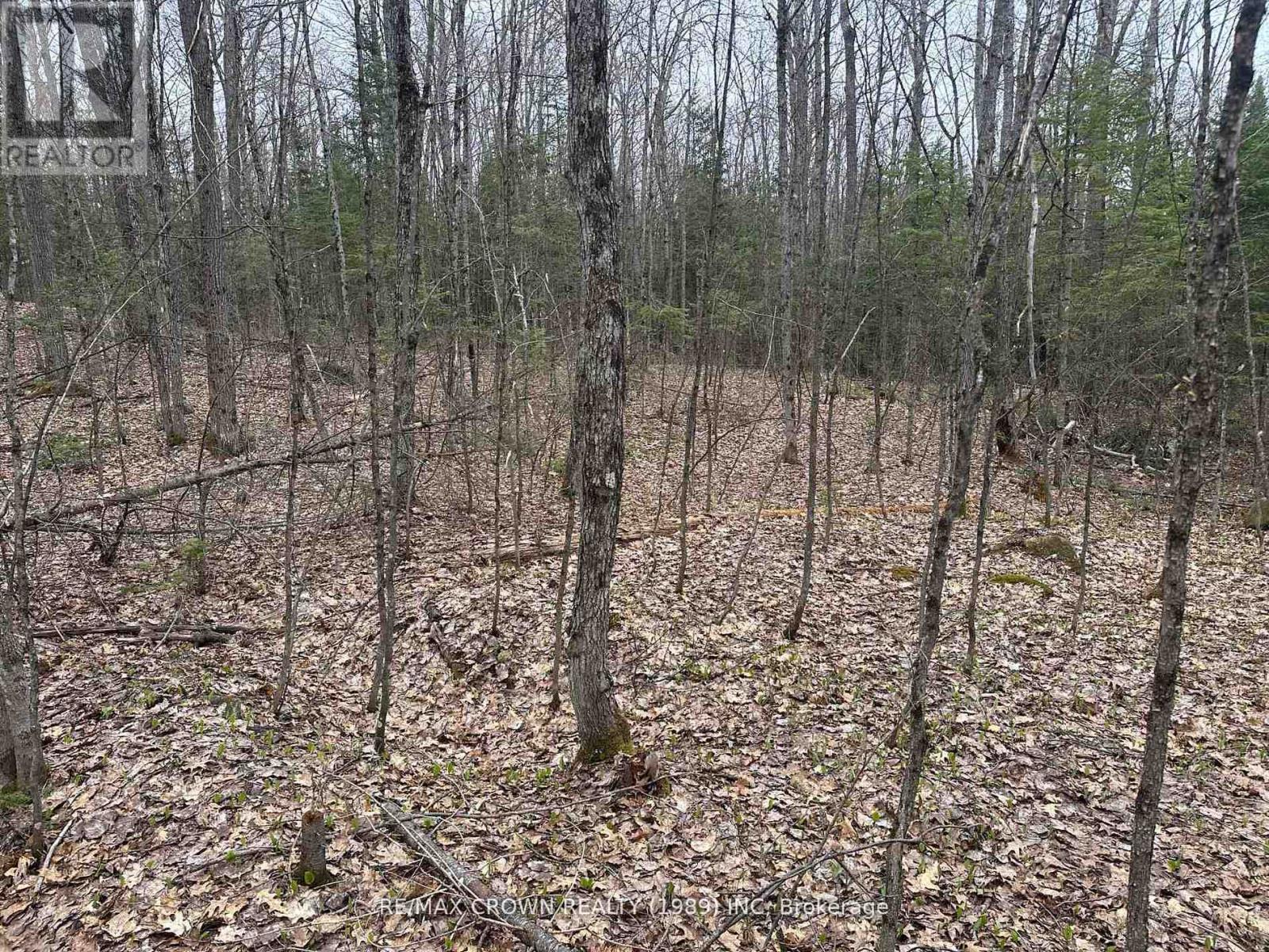 Part Lot 14 Concession 7, Mcmurrich/monteith, Ontario  P0A 1Y0 - Photo 7 - X13533944