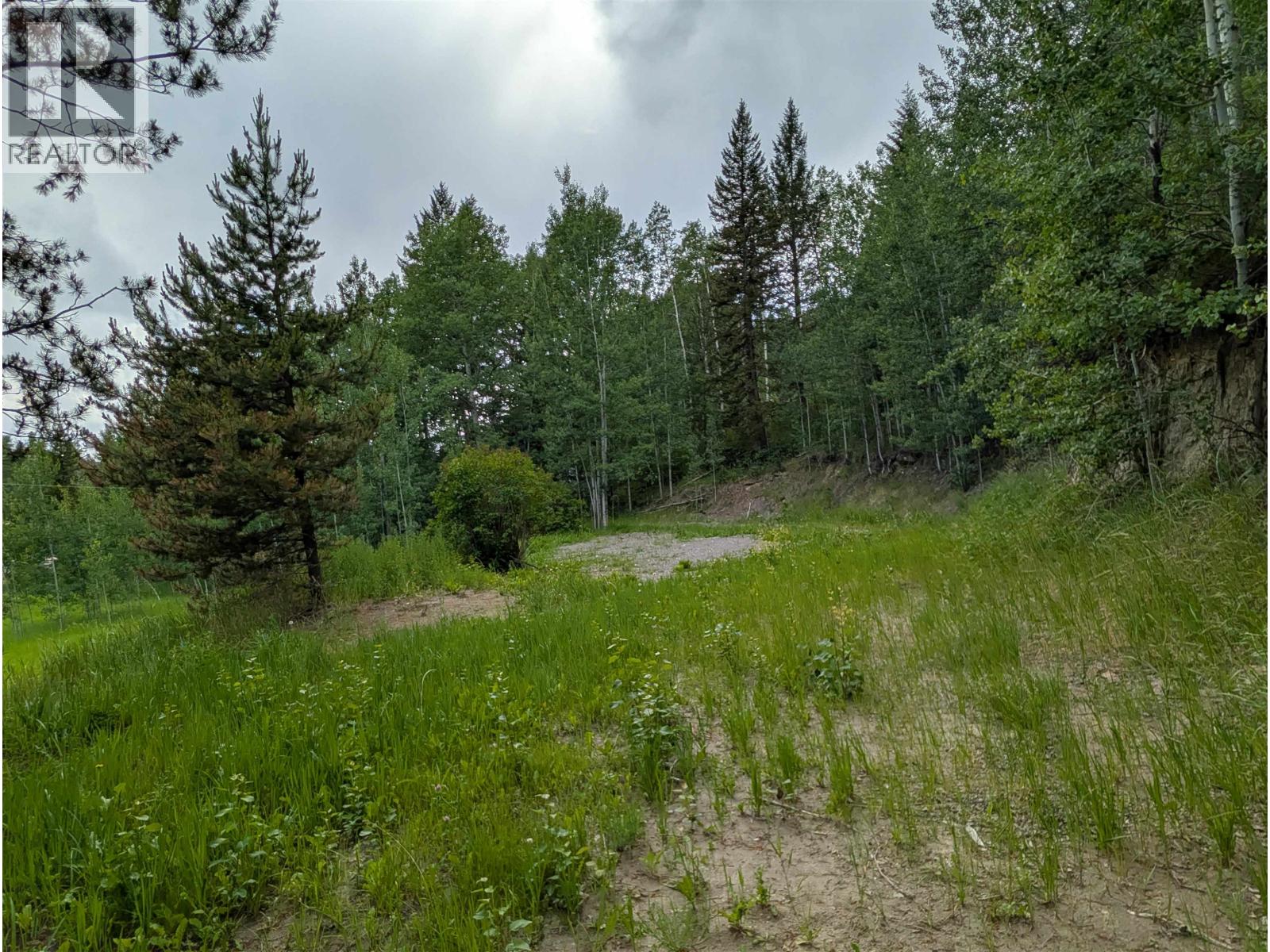4468 Canim-Hendrix Lake Road, Forest Grove, British Columbia  V0K 1G0 - Photo 5 - R3085682