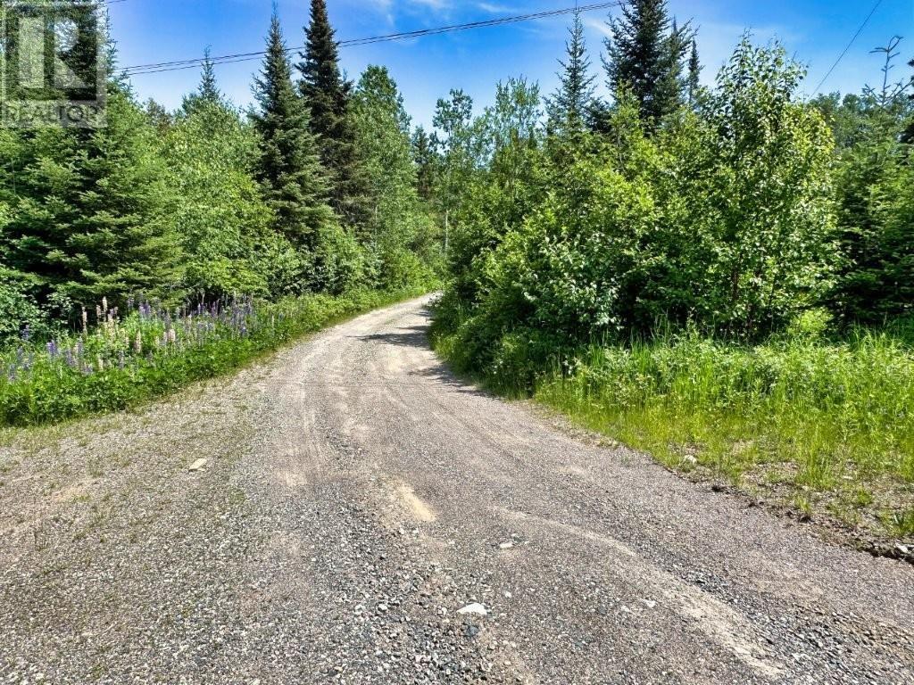 122 Walkinshaw Lake Road, Thunder Bay Unorganized, Ontario  P7A 3B2 - Photo 4 - TB2601834