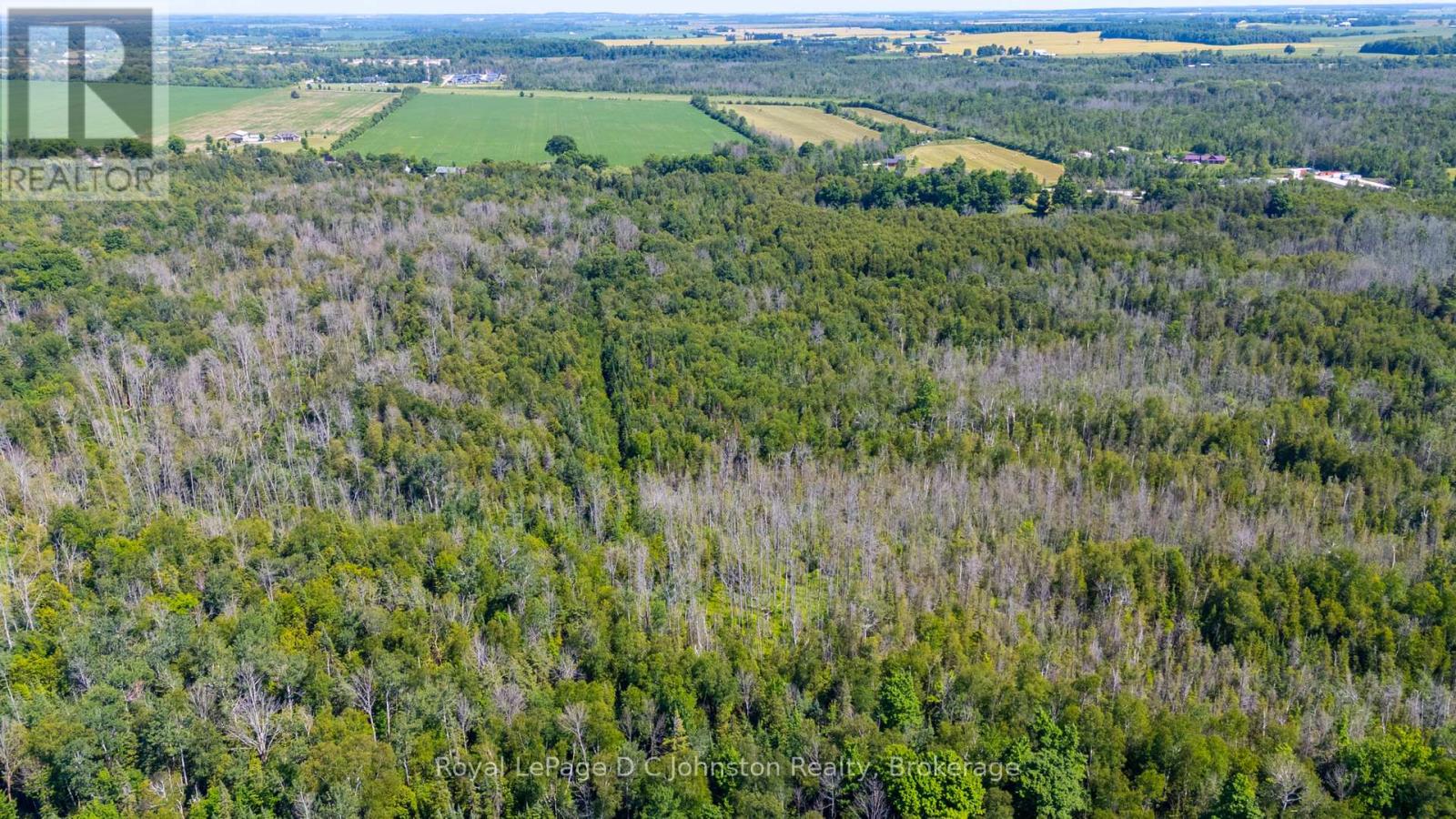 0 Lake Range Road, Saugeen Shores, Ontario  N0H 2C5 - Photo 5 - X13534668