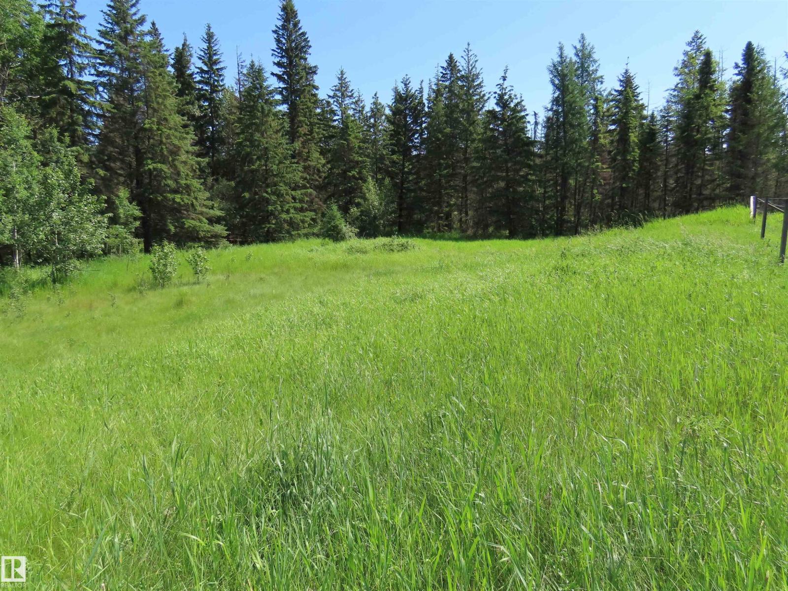 55421 Rge Road 31, Rural Lac Ste. Anne County, Alberta  T0E 1V0 - Photo 11 - E4497488