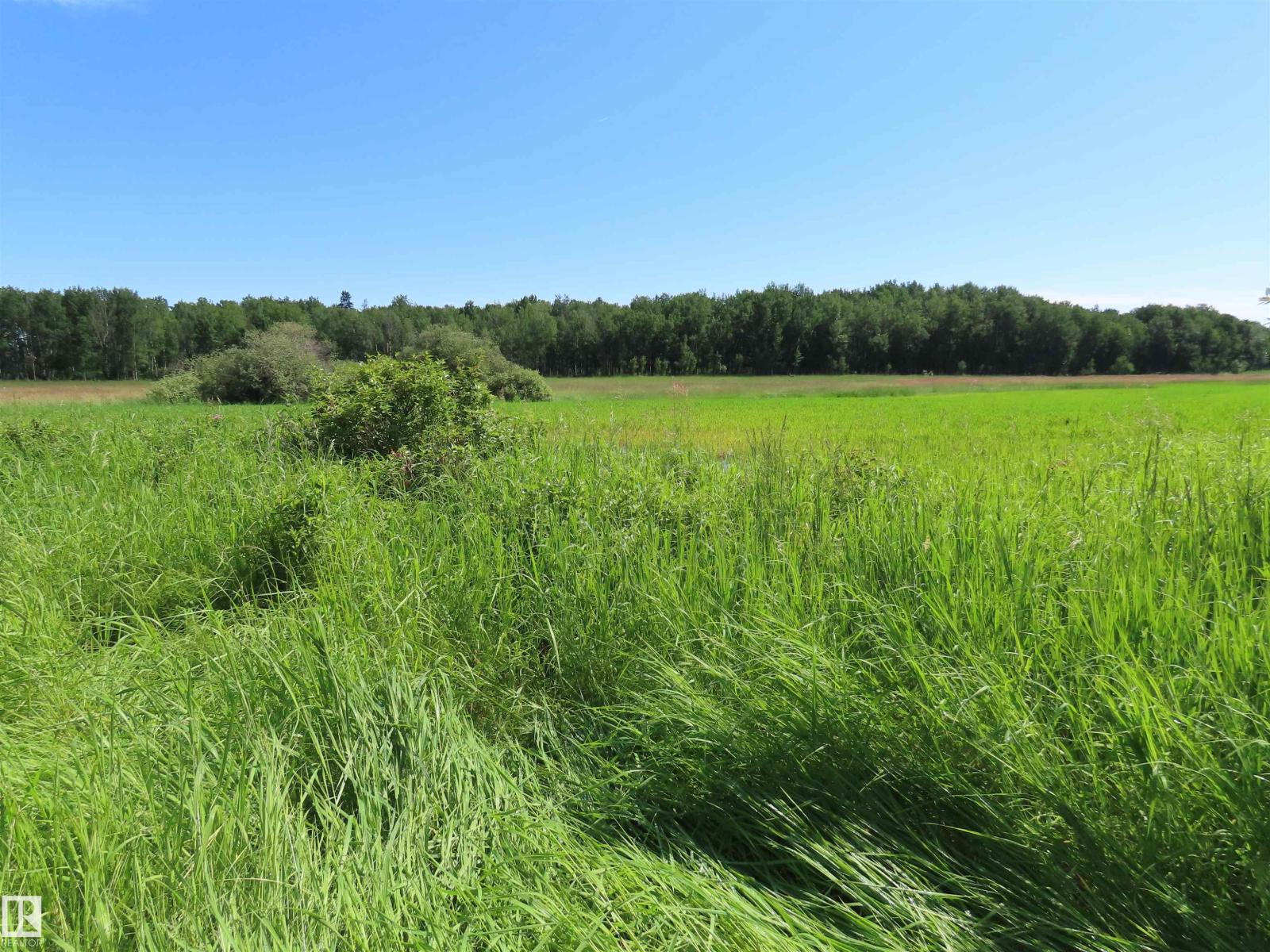 55421 Rge Road 31, Rural Lac Ste. Anne County, Alberta  T0E 1V0 - Photo 7 - E4497488