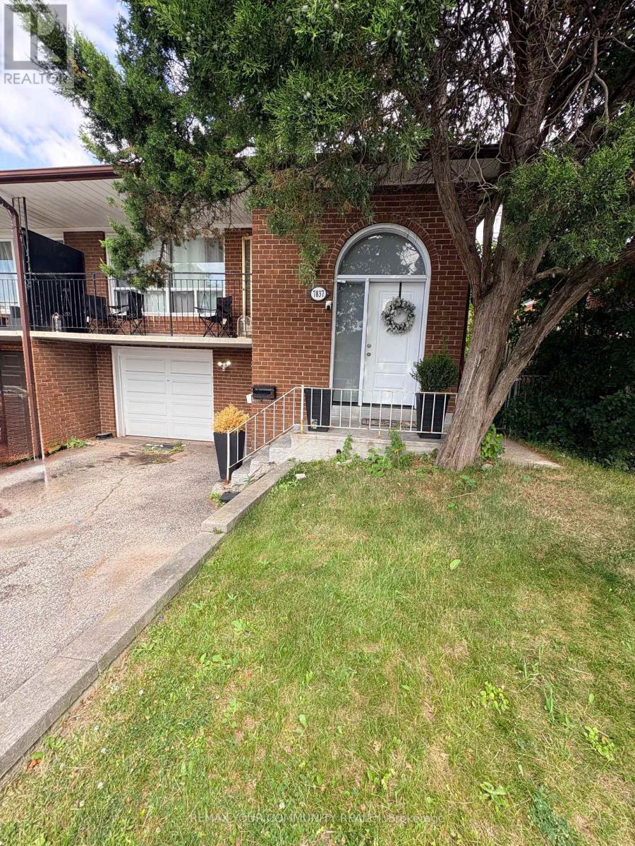 BASEMENT - 7837 MARTIN GROVE ROAD, Vaughan (West Woodbridge)