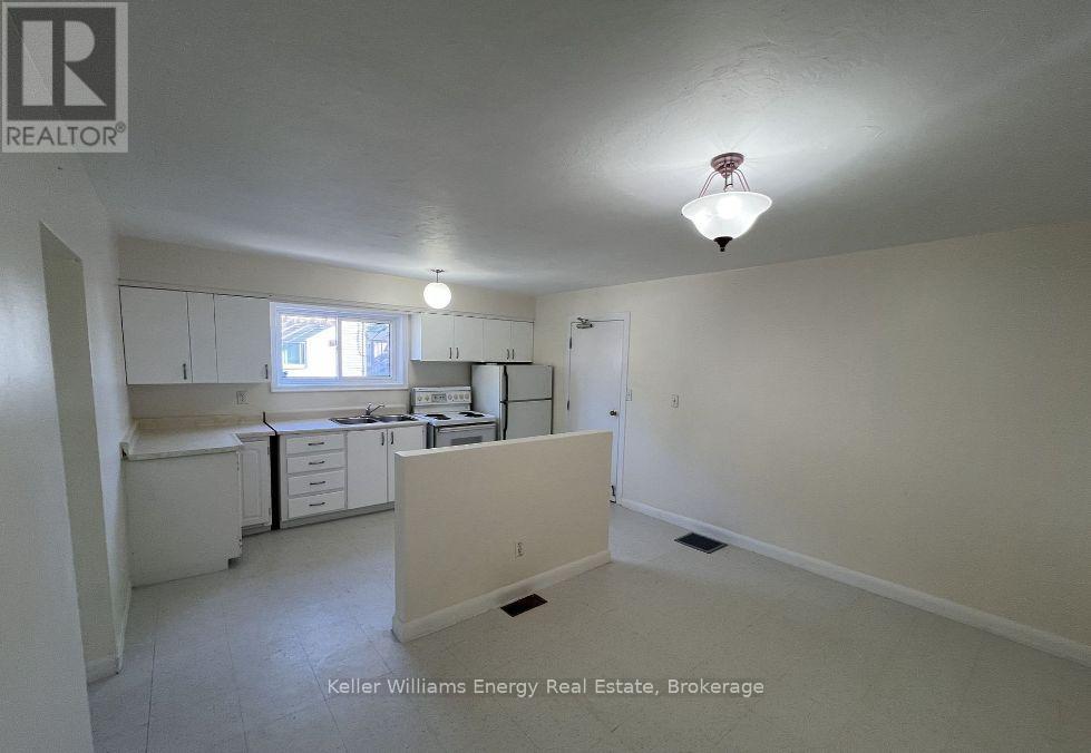 1 - 169 Mary Street N, Oshawa, Ontario  L1G 5C1 - Photo 4 - E13534794
