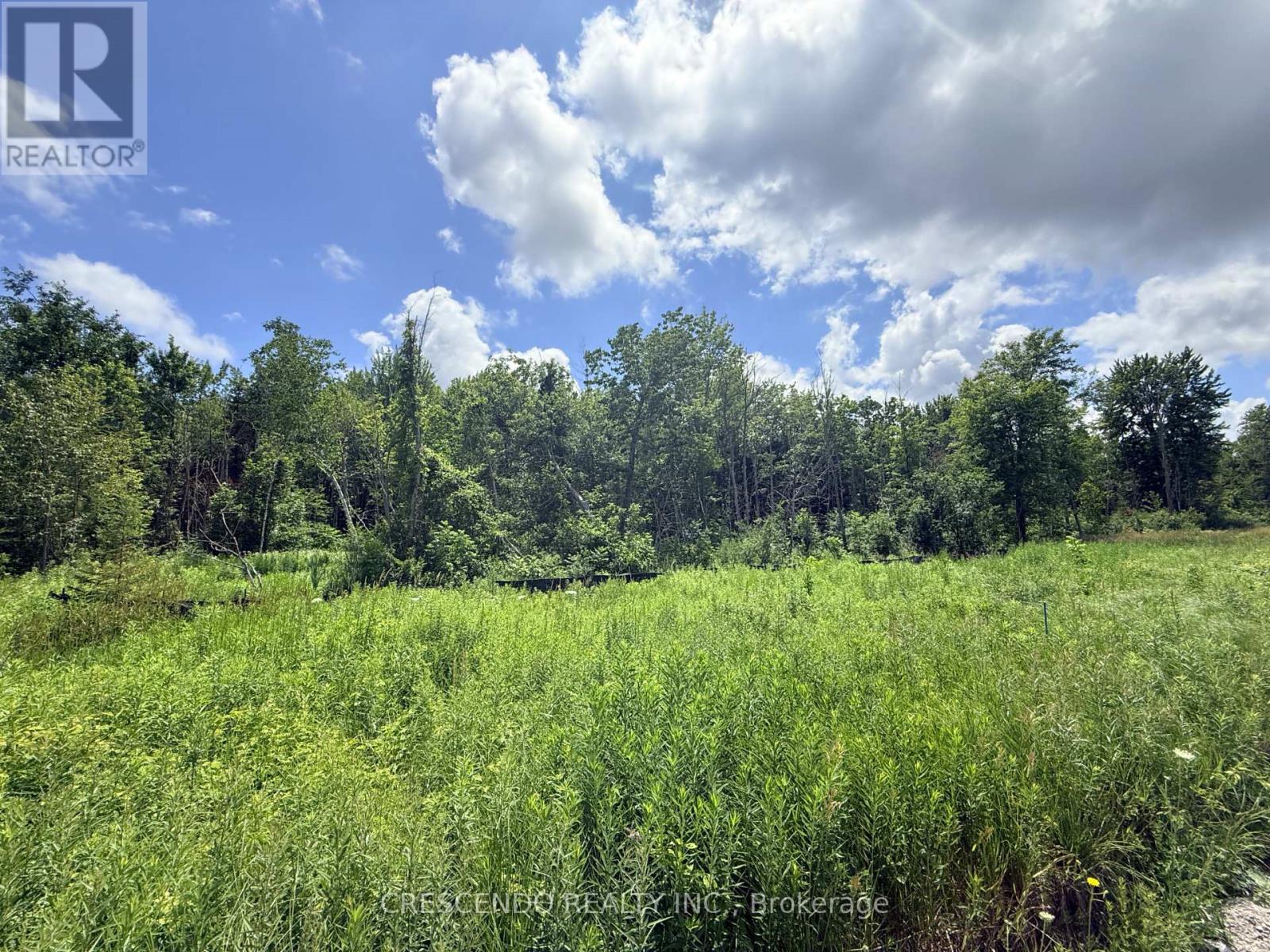 2687 Innisfil Beach Road, Innisfil, Ontario L9S 4C5 - Photo 4 - N13534822