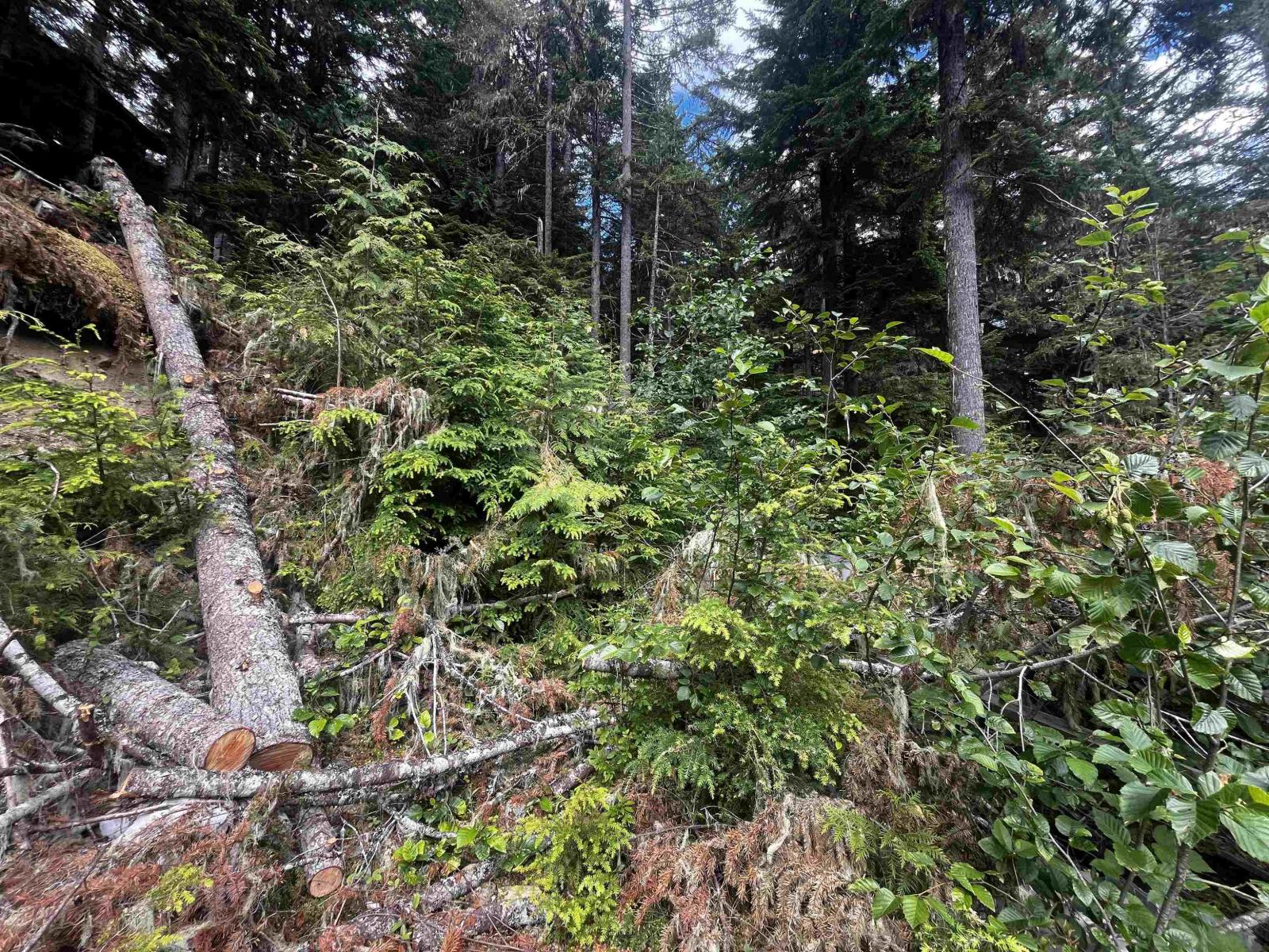 14963 Parkwood Street, Sunshine Valley, Sunshine Valley, British Columbia  V0X 1L5 - Photo 7 - R3125607
