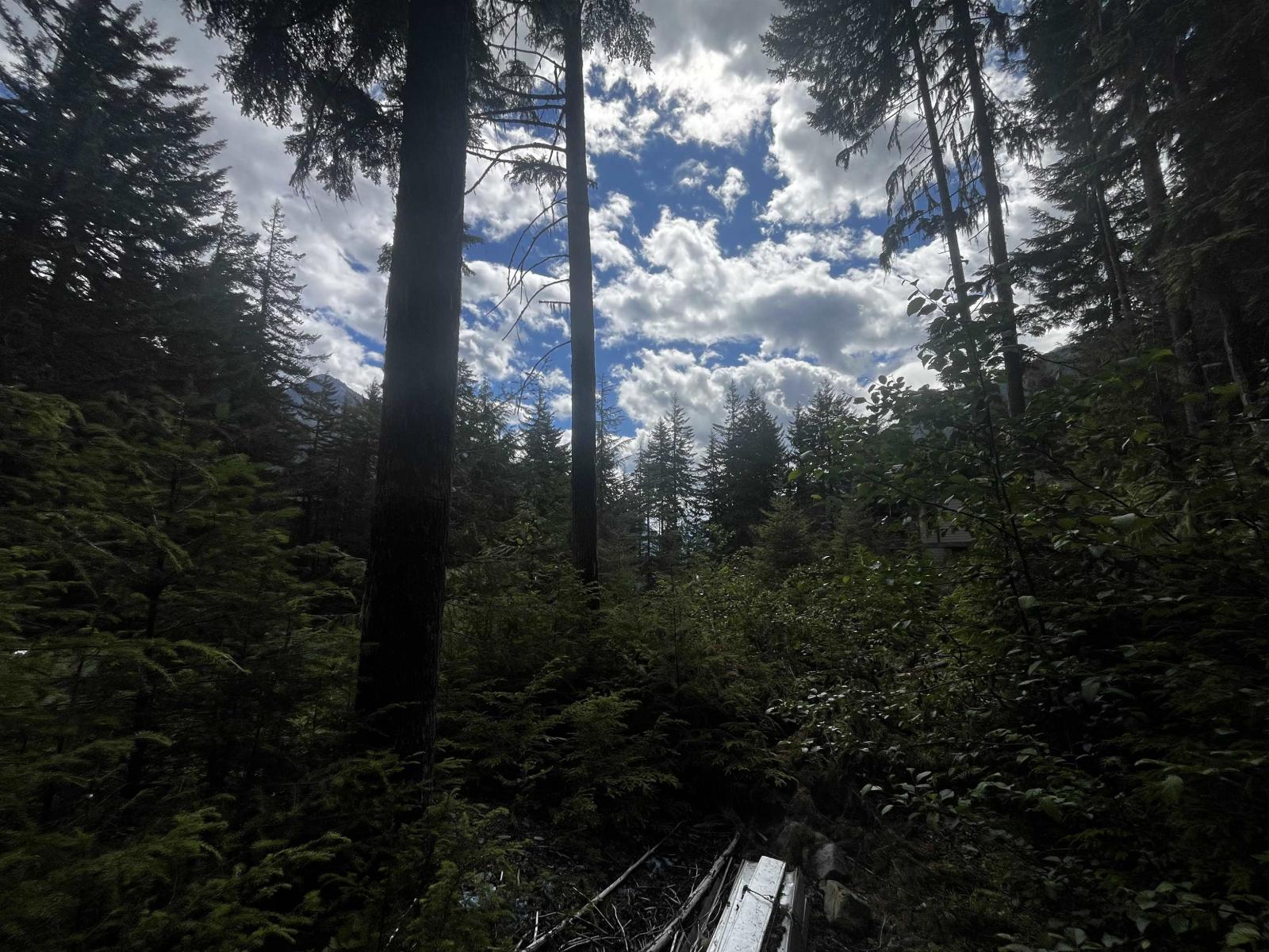 14963 Parkwood Street, Sunshine Valley, Sunshine Valley, British Columbia  V0X 1L5 - Photo 9 - R3125607