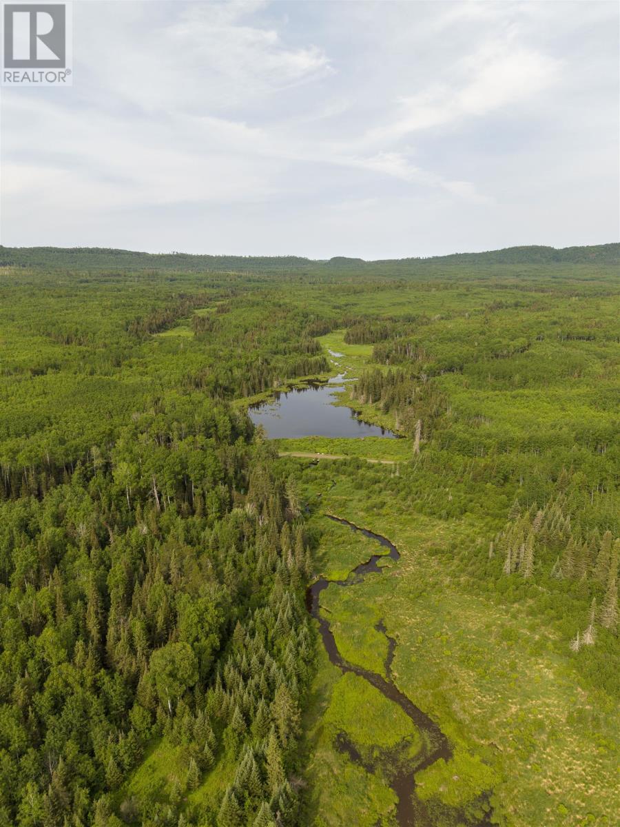 2 Rr#2 Bear Camp Rd, Devon Township, Ontario  P0T 2K0 - Photo 13 - TB2601813