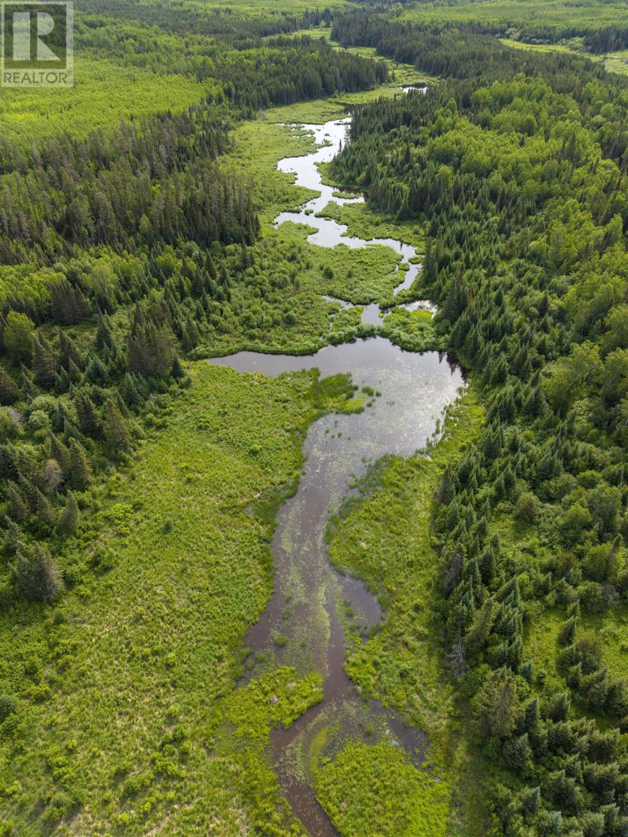 2 Rr#2 Bear Camp Rd, Devon Township, Ontario  P0T 2K0 - Photo 21 - TB2601813