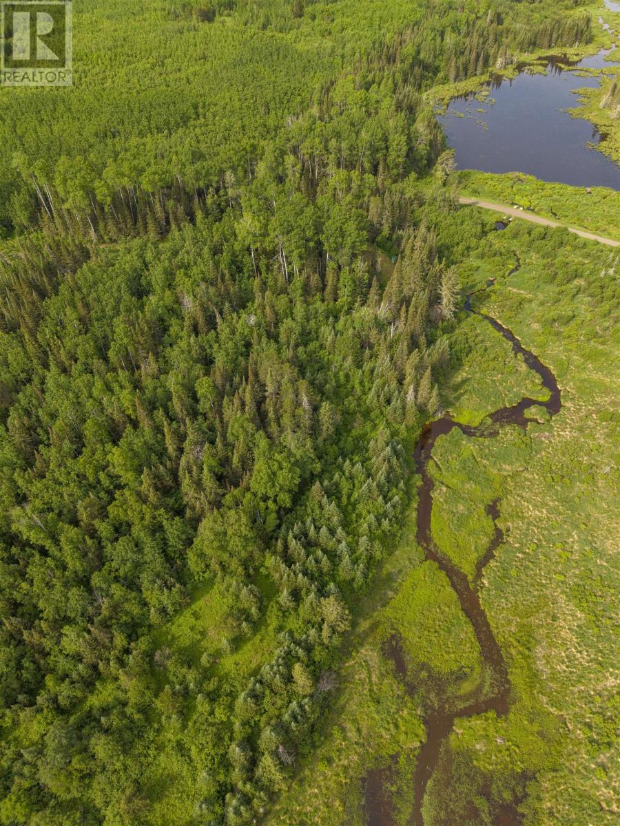 2 Rr#2 Bear Camp Rd, Devon Township, Ontario  P0T 2K0 - Photo 23 - TB2601813