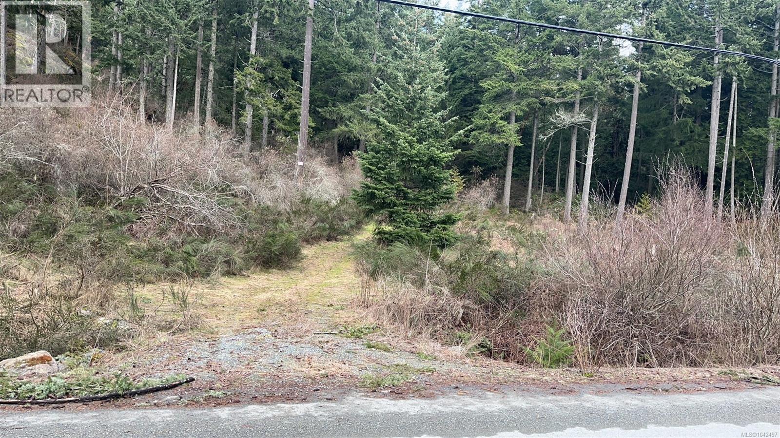 picture 1