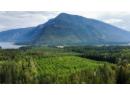 Lots 71-72 HARRISON Road, Arrow Park, BC V0G 1R1