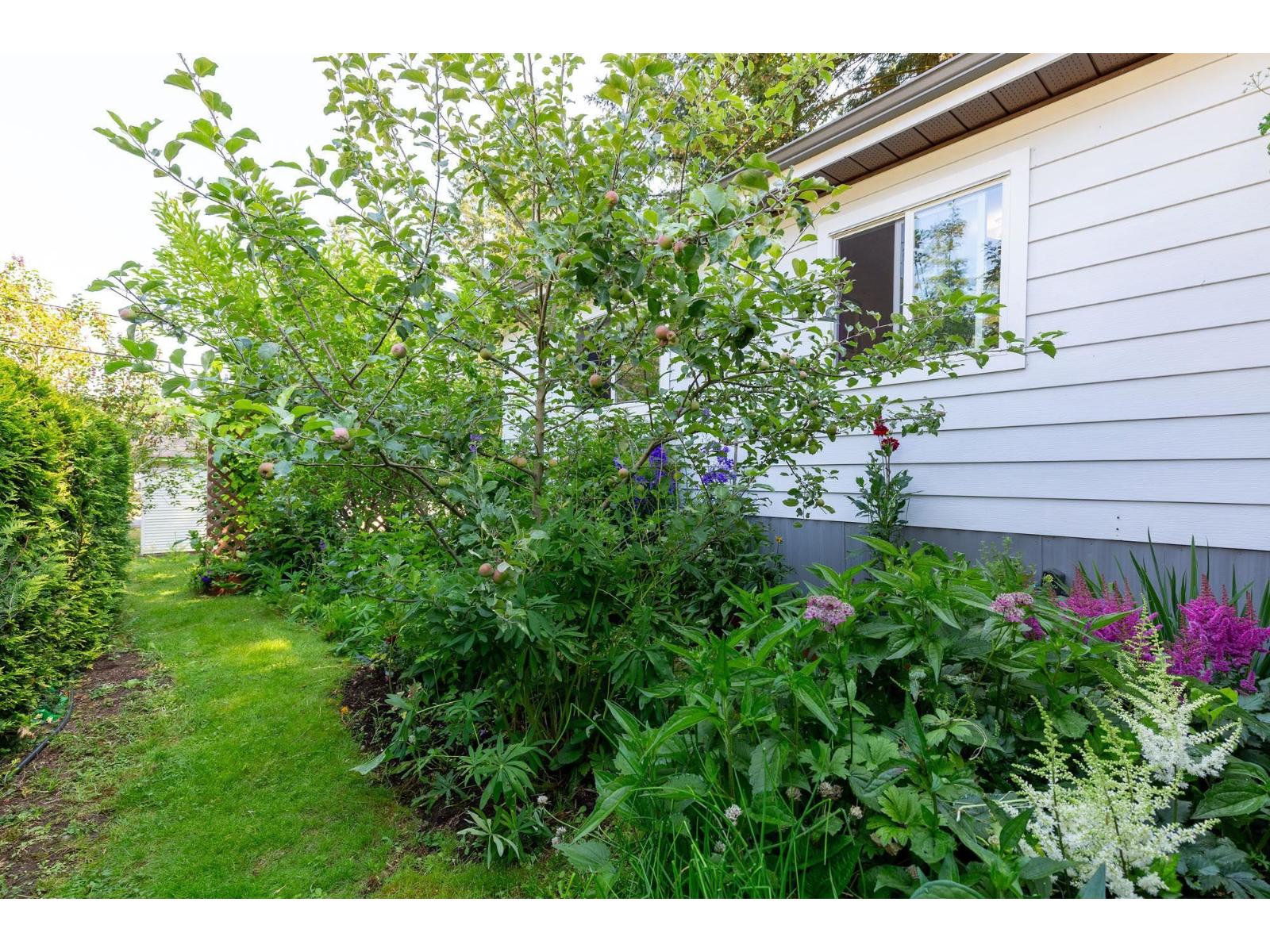 204 20071 24 Avenue, Langley, British Columbia  V2Z 2A1 - Photo 38 - R3143493
