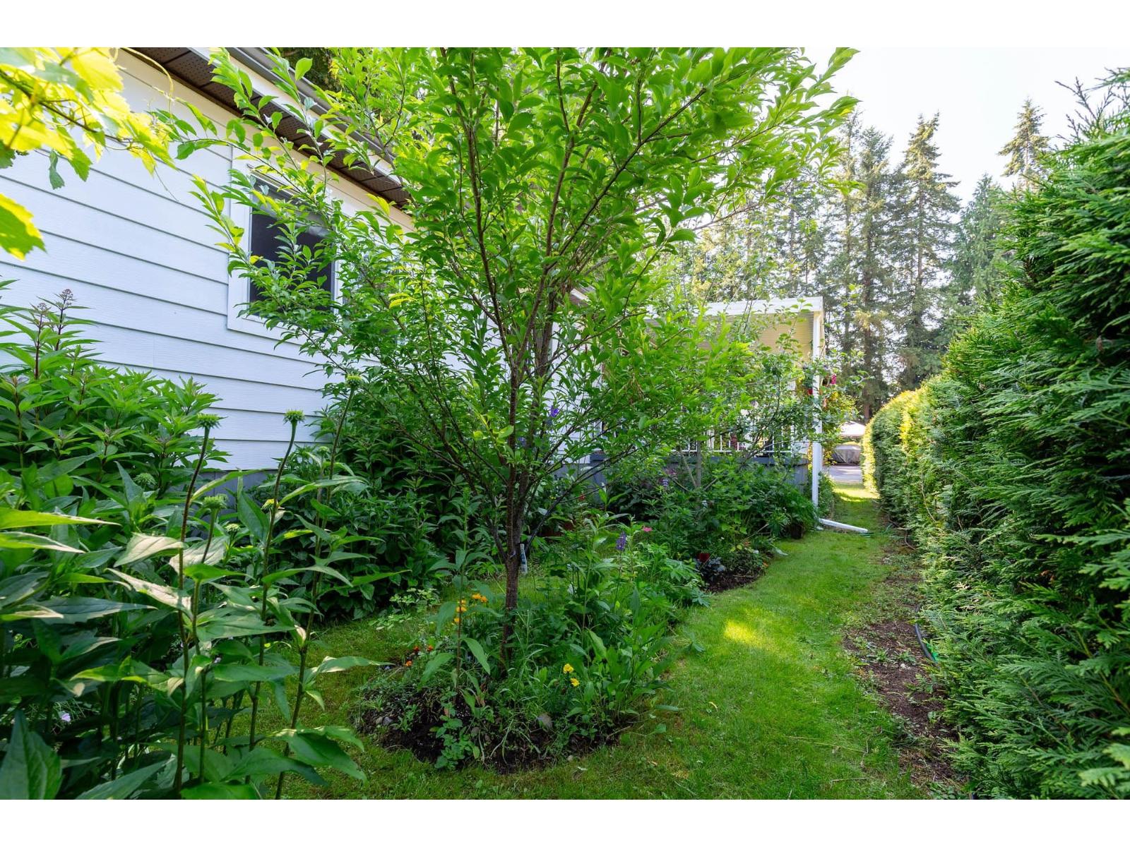 204 20071 24 Avenue, Langley, British Columbia  V2Z 2A1 - Photo 37 - R3143493