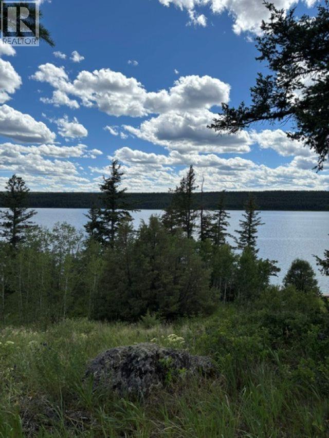 Lot 16 Trout Drive, Lac La Hache, British Columbia  V0K 1T0 - Photo 1 - R3143226