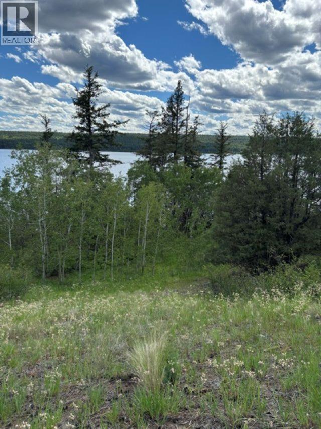 Lot 16 Trout Drive, Lac La Hache, British Columbia  V0K 1T0 - Photo 7 - R3143226