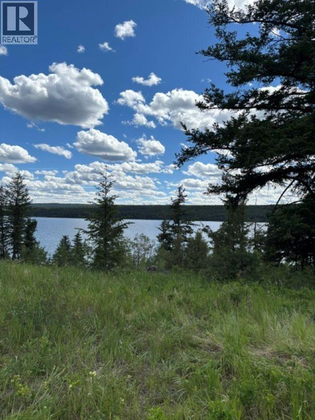 Lot 16 Trout Drive, Lac La Hache, British Columbia  V0K 1T0 - Photo 2 - R3143226