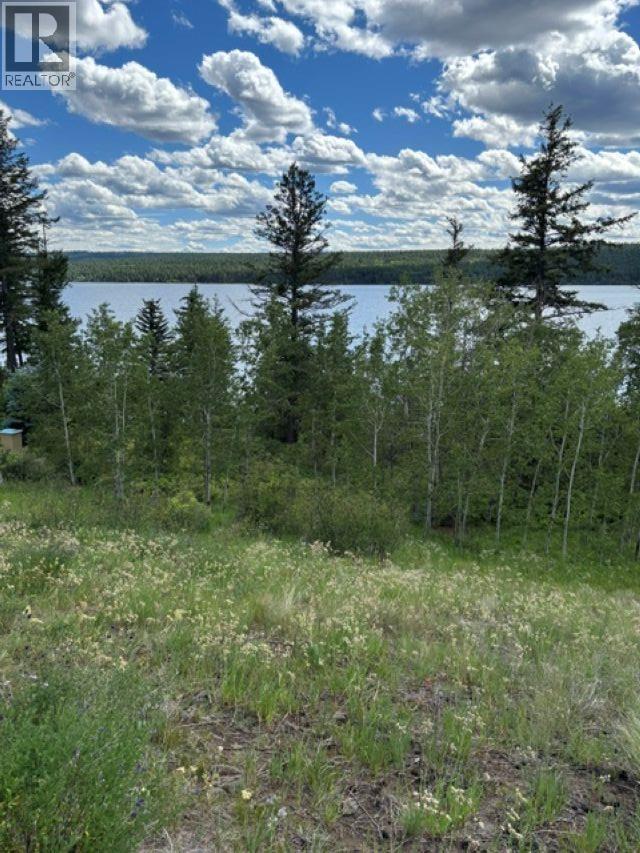 Lot 16 Trout Drive, Lac La Hache, British Columbia  V0K 1T0 - Photo 8 - R3143226