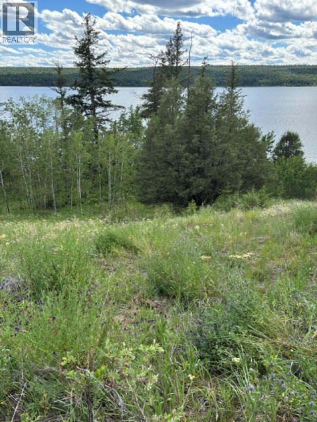 Lot 16 Trout Drive, Lac La Hache, British Columbia  V0K 1T0 - Photo 6 - R3143226