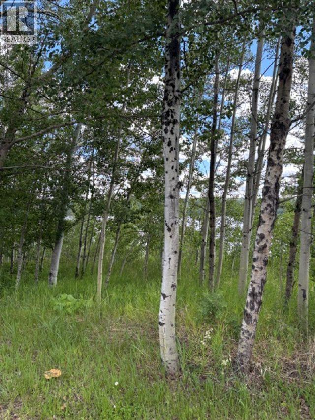 Lot 16 Trout Drive, Lac La Hache, British Columbia  V0K 1T0 - Photo 4 - R3143226