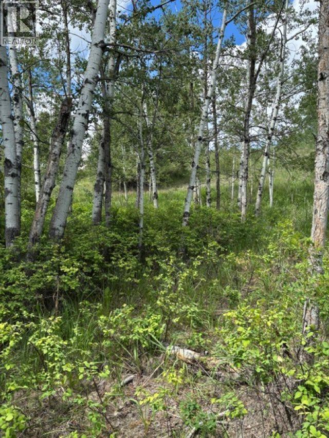 Lot 16 Trout Drive, Lac La Hache, British Columbia  V0K 1T0 - Photo 13 - R3143226