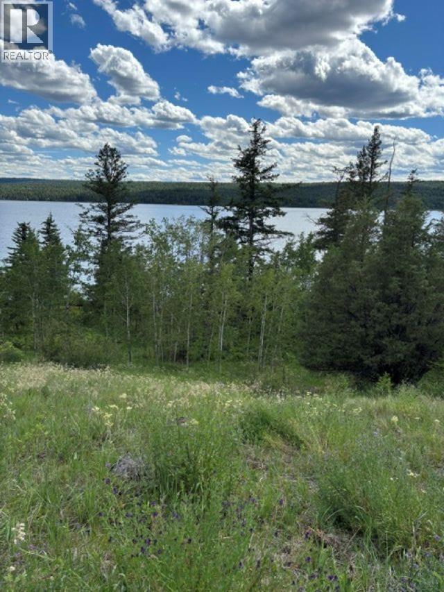 Lot 16 Trout Drive, Lac La Hache, British Columbia  V0K 1T0 - Photo 5 - R3143226