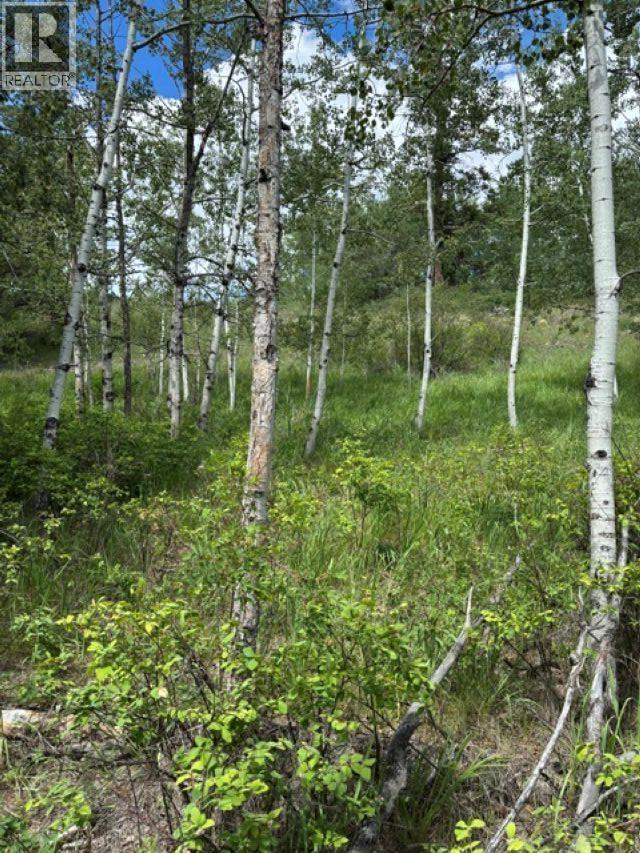 Lot 16 Trout Drive, Lac La Hache, British Columbia  V0K 1T0 - Photo 12 - R3143226