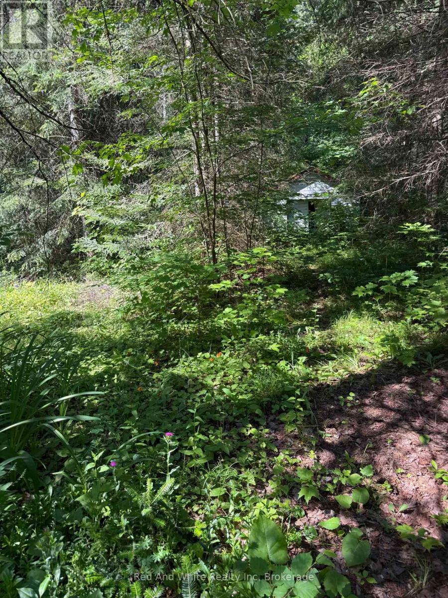 944 Hwy 592 Highway N, Perry, Ontario  P0A 1J0 - Photo 3 - X13535272