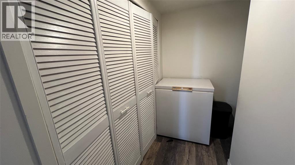 964 Champlain Street Unit# (Lower Apt.), Sarnia photo 12