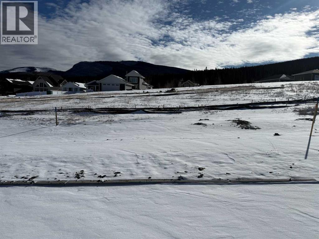 445 Lily Avenue, Nordegg, Alberta  T0M 2H0 - Photo 1 - A2289691