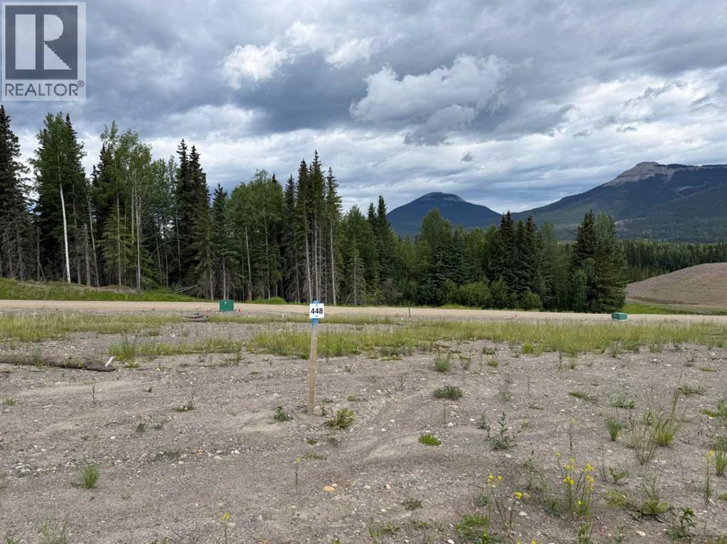 448 Lily Avenue, Nordegg, Alberta  T0M 2H0 - Photo 1 - A2289785