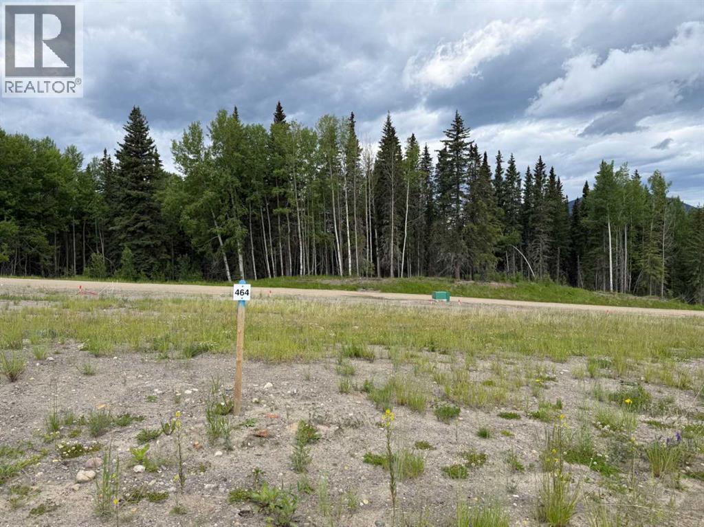 464 Lily Avenue, Nordegg, Alberta  T0M 2H0 - Photo 1 - A2289796