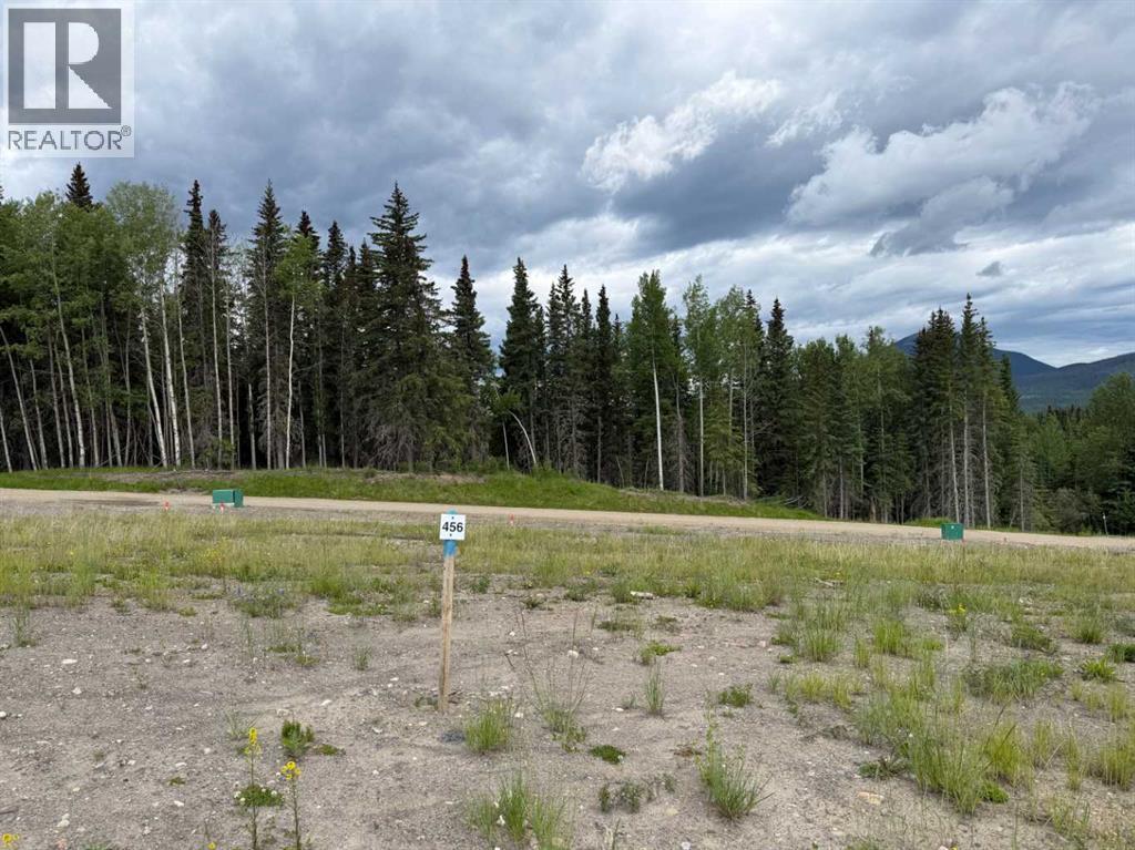 456 Lily Avenue, Nordegg, Alberta  T0M 2H0 - Photo 1 - A2289788