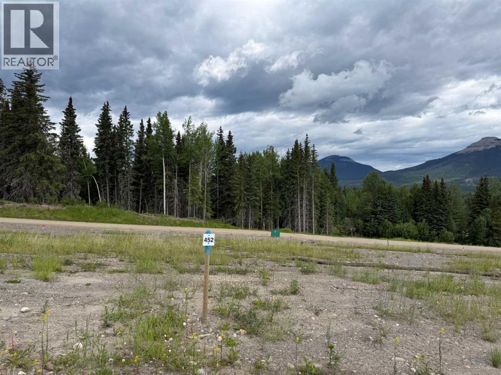 452 Lily Avenue, Nordegg, Alberta  T0M 2H0 - Photo 1 - A2289787