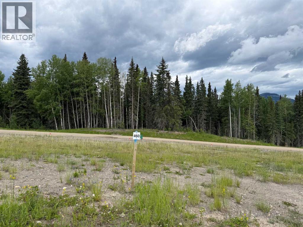 460 Lily Avenue, Nordegg, Alberta  T0M 2H0 - Photo 1 - A2289789