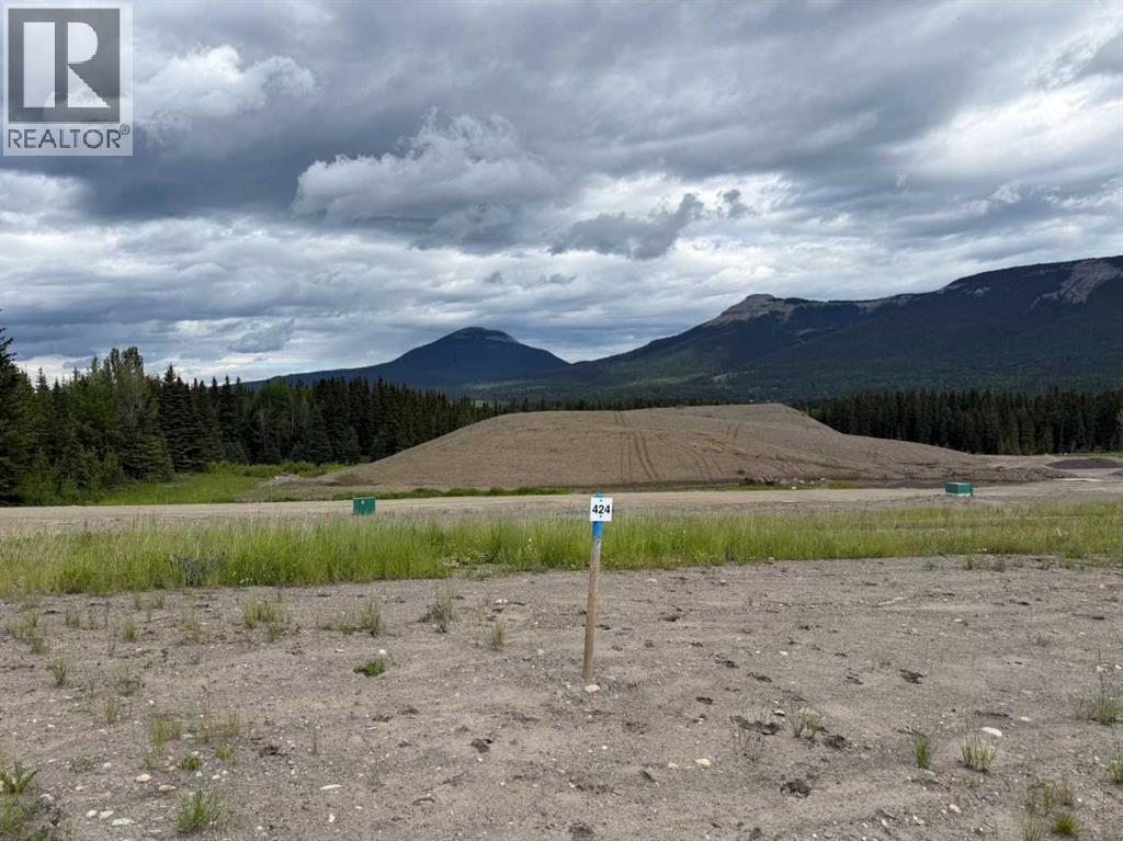 424 Lily Avenue, Nordegg, Alberta  T0M 2H0 - Photo 1 - A2289773