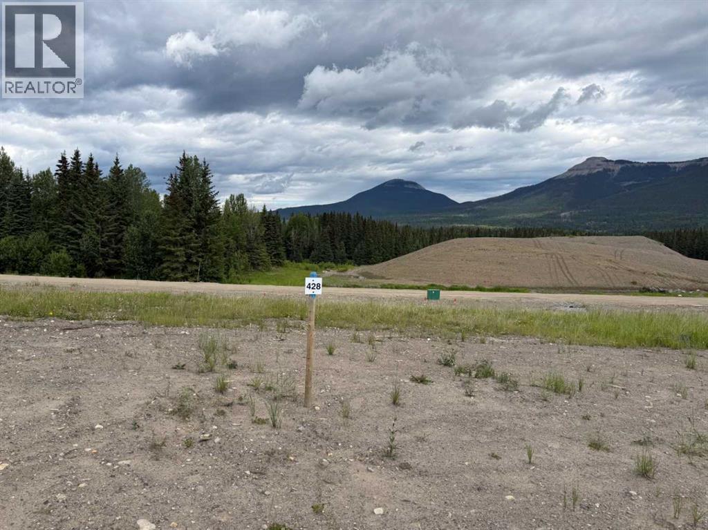 428 Lily Avenue, Nordegg, Alberta  T0M 2H0 - Photo 1 - A2289776