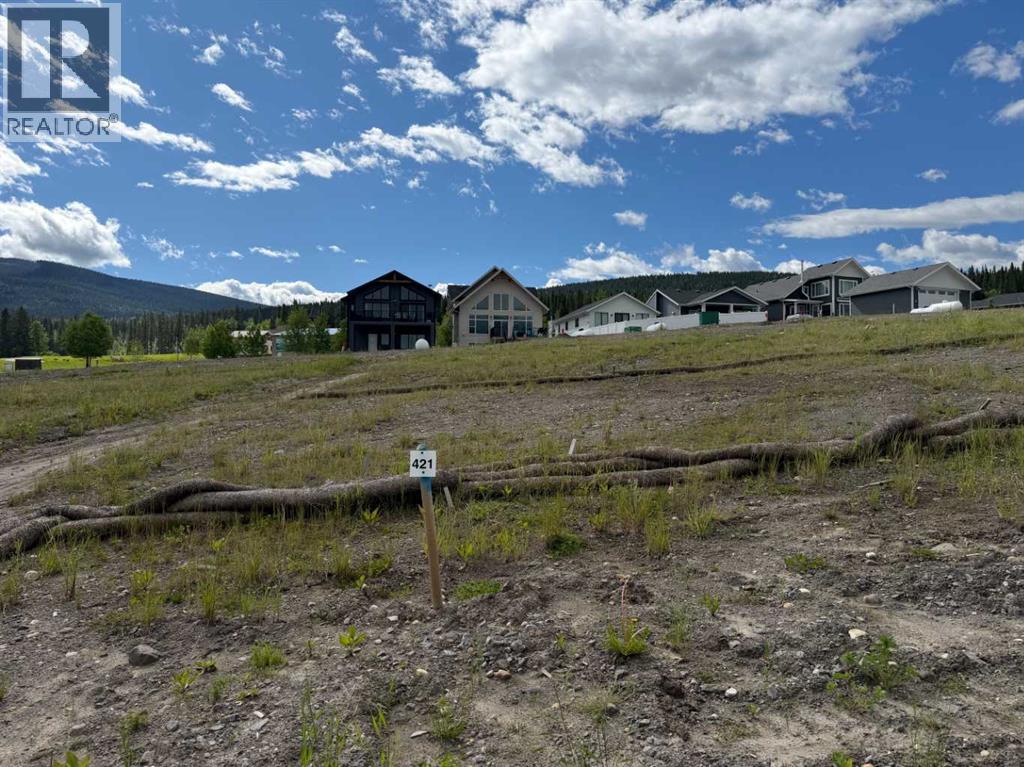 421 Lily Avenue, Nordegg, Alberta  T0M 2H0 - Photo 1 - A2289643