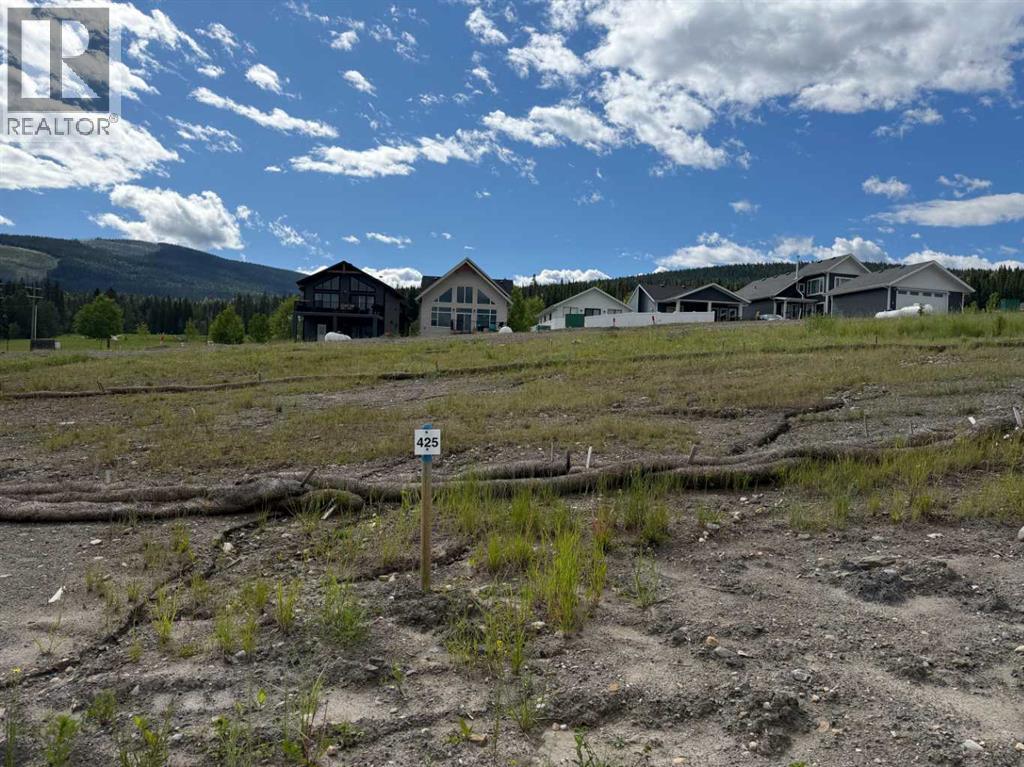 425 Lily Avenue, Nordegg, Alberta  T0M 2H0 - Photo 1 - A2289645