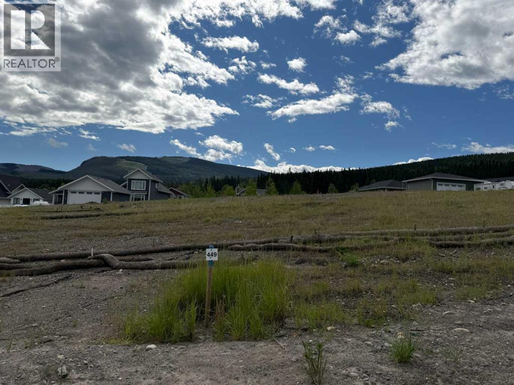 449 Lily Avenue, Nordegg, Alberta  T0M 2H0 - Photo 1 - A2289688