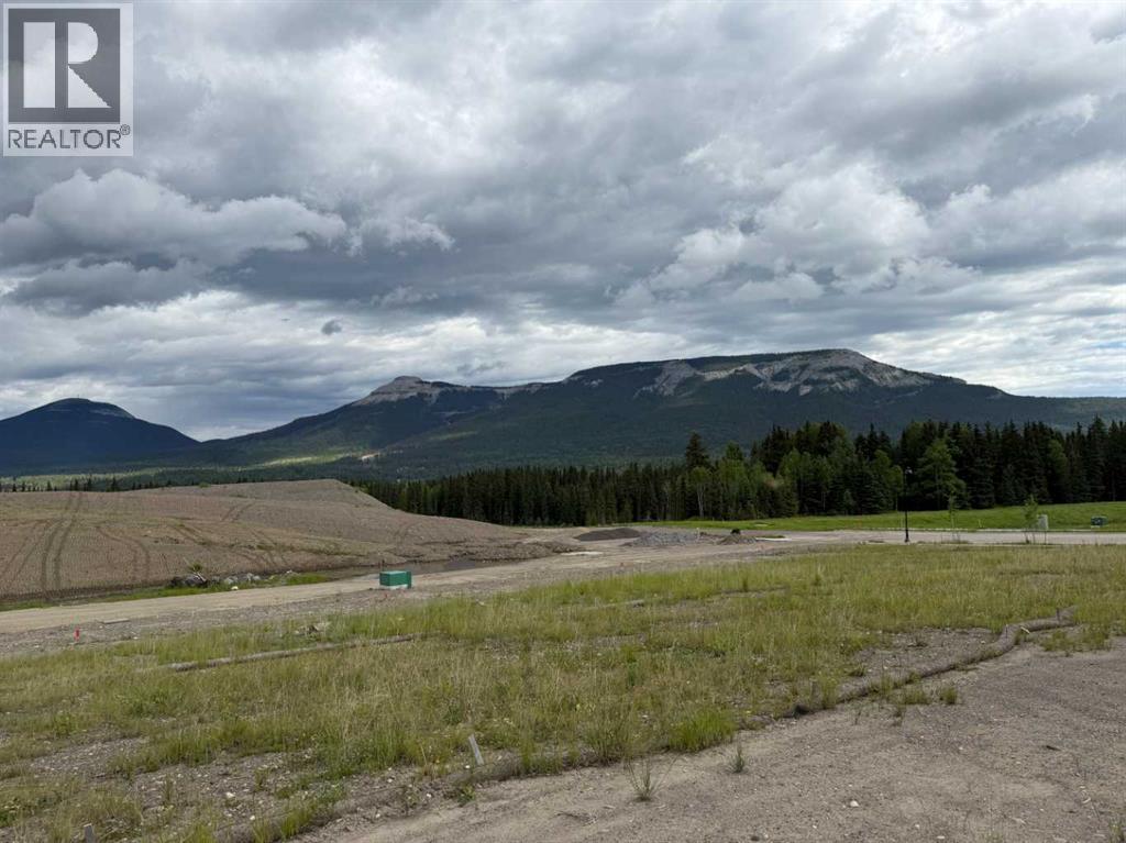420 Lily Avenue, Nordegg, Alberta  T0M 2H0 - Photo 1 - A2289772