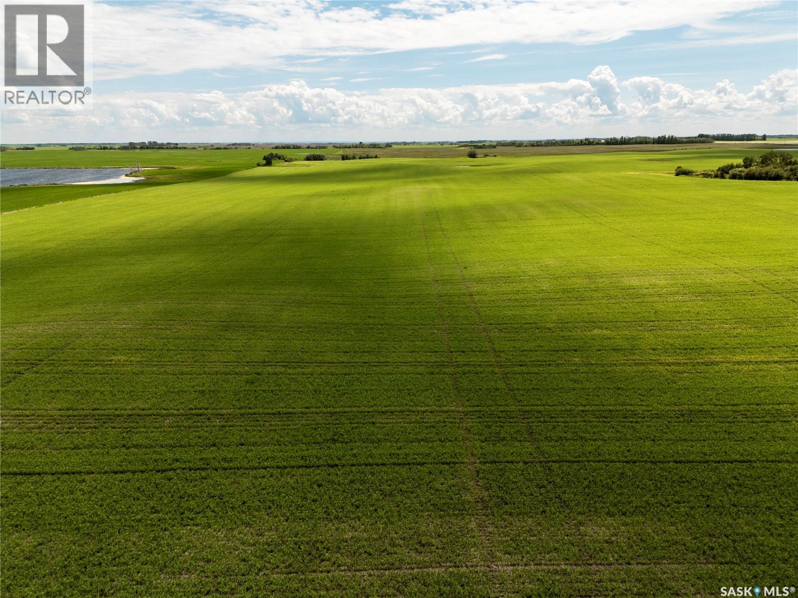 Leniczek Farm/lily & Rose Seed Processors, Mcleod Rm No. 185, Saskatchewan  S0A 2B0 - Photo 5 - SK041624