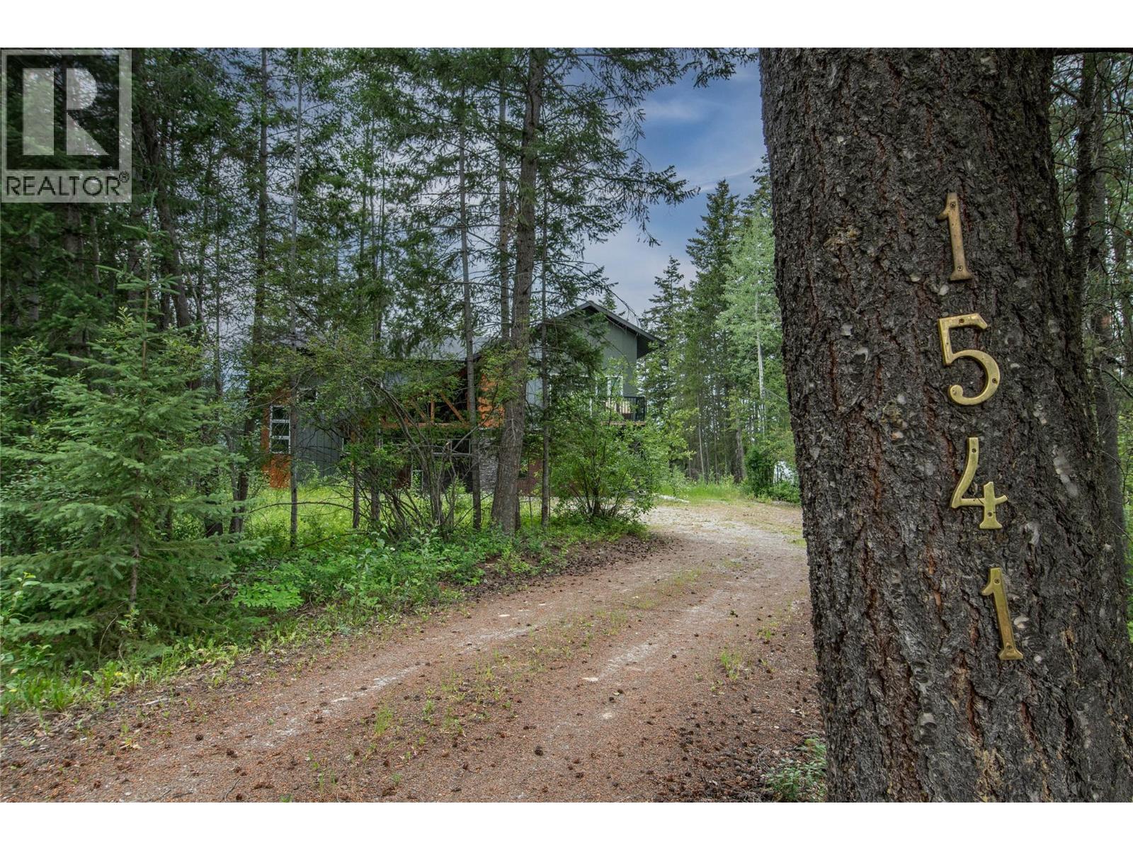 1541 Quartz Crescent, Golden, British Columbia  V0A 1H3 - Photo 43 - 10393341